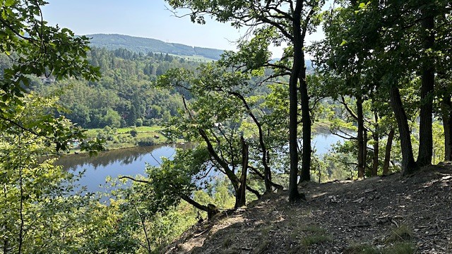 Prodej  chaty 150 m², pozemek 18 138 m² - foto 6