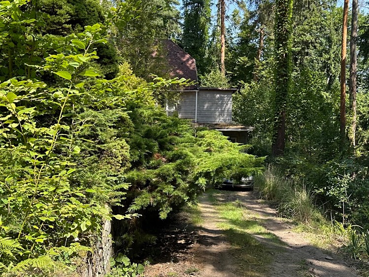 Prodej  chaty 150 m², pozemek 18 138 m² - foto 5