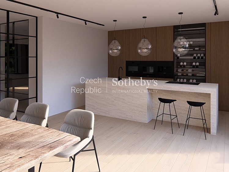 Prodej rodinného domu 310 m², pozemek 921 m² - foto 8