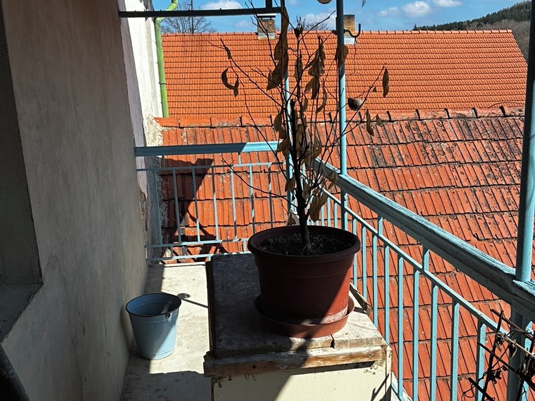 Prodej rodinného domu 250 m², pozemek 176 m² - foto 5