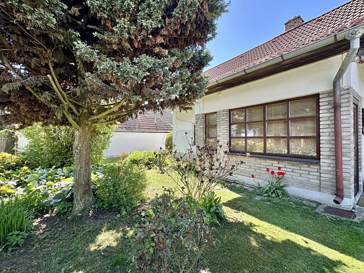 Prodej rodinného domu 135 m², pozemek 1 670 m² - foto 3