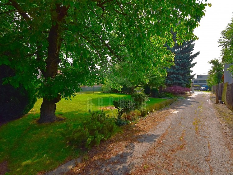 Prodej rodinného domu 247 m², pozemek 1 230 m² - foto 4