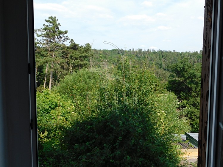 Prodej rodinného domu 291 m², pozemek 1 199 m² - foto 2