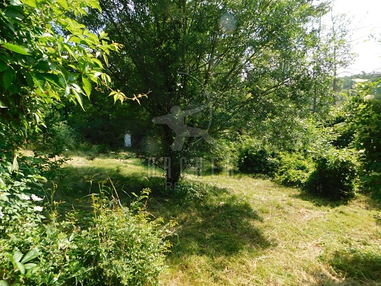 Prodej rodinného domu 291 m², pozemek 1 199 m² - foto 6