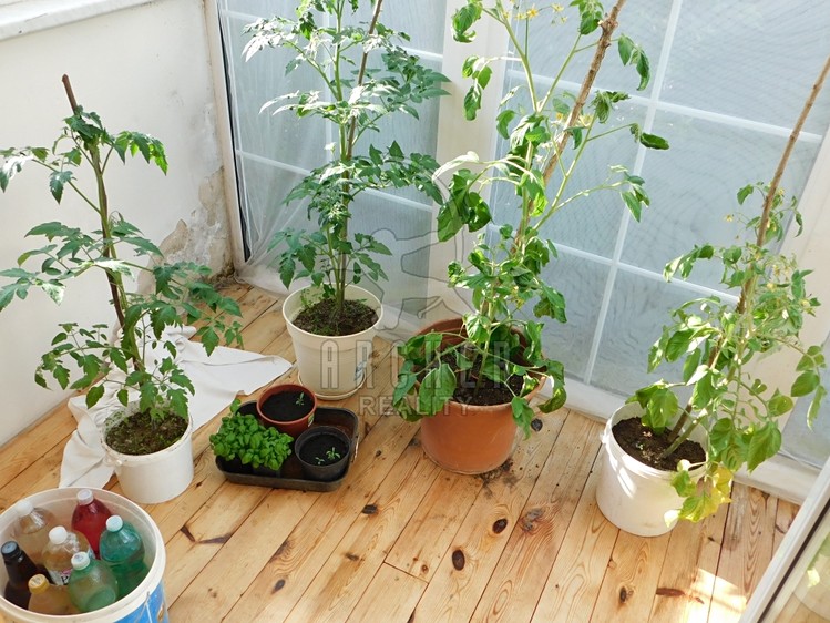 Prodej rodinného domu 291 m², pozemek 1 199 m² - foto 8