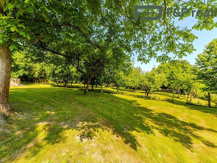 Prodej rodinného domu 300 m², pozemek 3 629 m² - foto 3