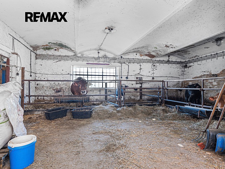 Prodej  zemědělské usedlosti 244 m², pozemek 2 522 m² - foto 6