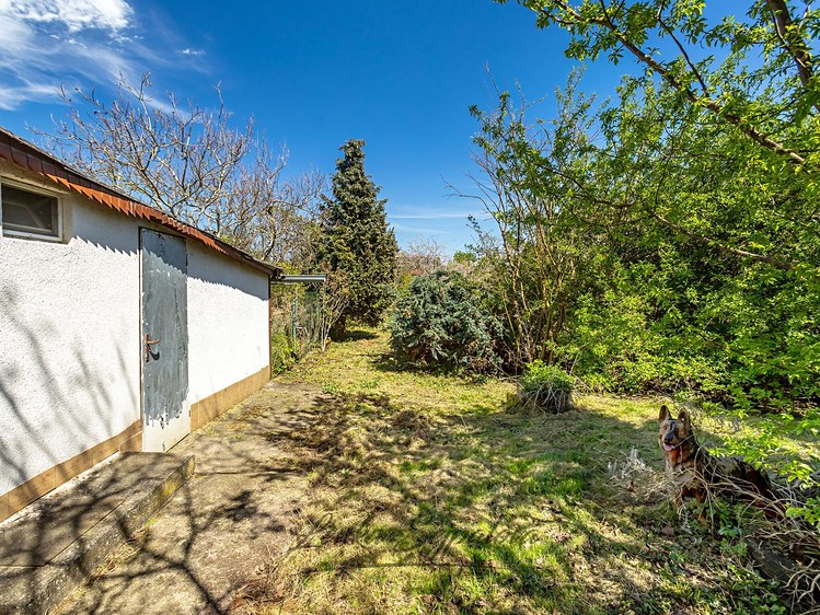 Prodej rodinného domu 95 m², pozemek 1 633 m² - foto 3