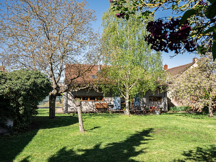 Prodej rodinného domu 238 m², pozemek 749 m² - foto 8