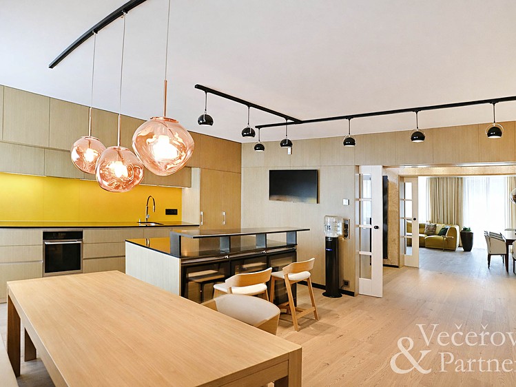 Prodej rodinného domu 310 m², pozemek 779 m² - foto 1