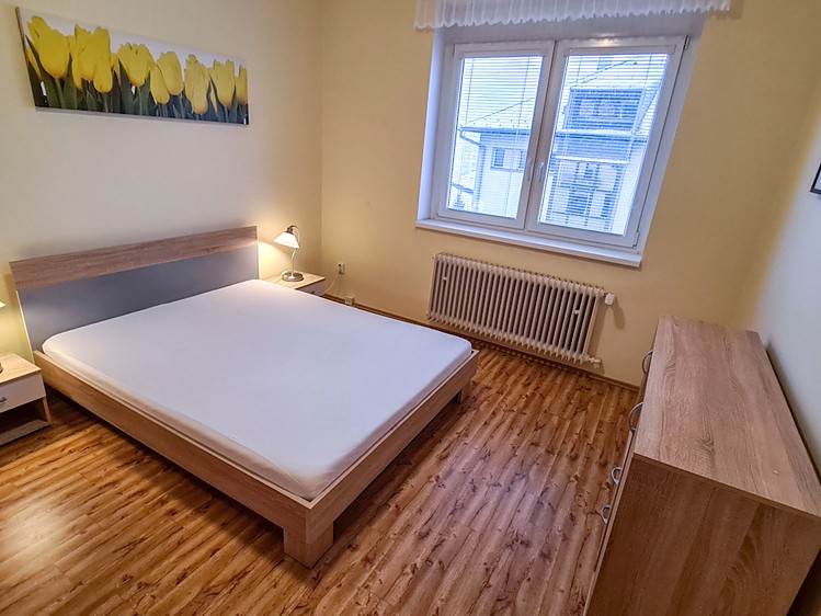 Prodej rodinného domu 255 m², pozemek 384 m² - foto 3