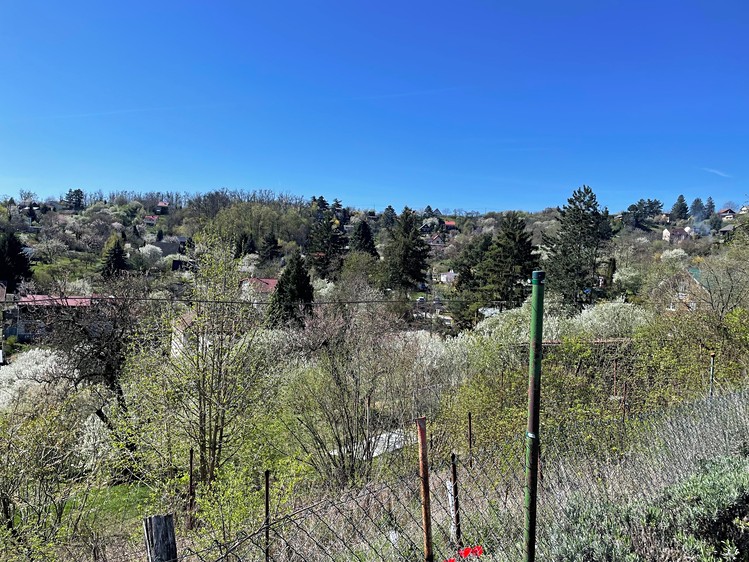 Prodej chaty 40 m², pozemek 2 440 m² - foto 8