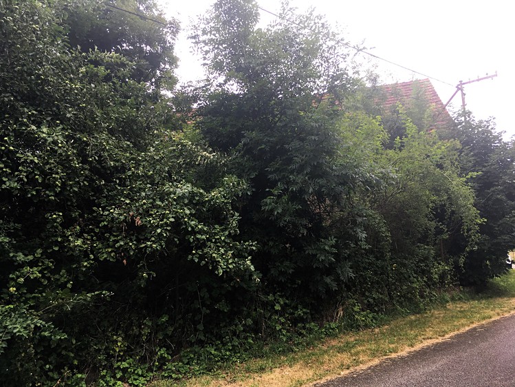 Prodej chalupy 69 m², pozemek 824 m² - foto 8