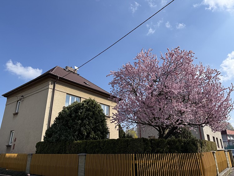 Prodej rodinného domu 429 m², pozemek 365 m² - foto 1