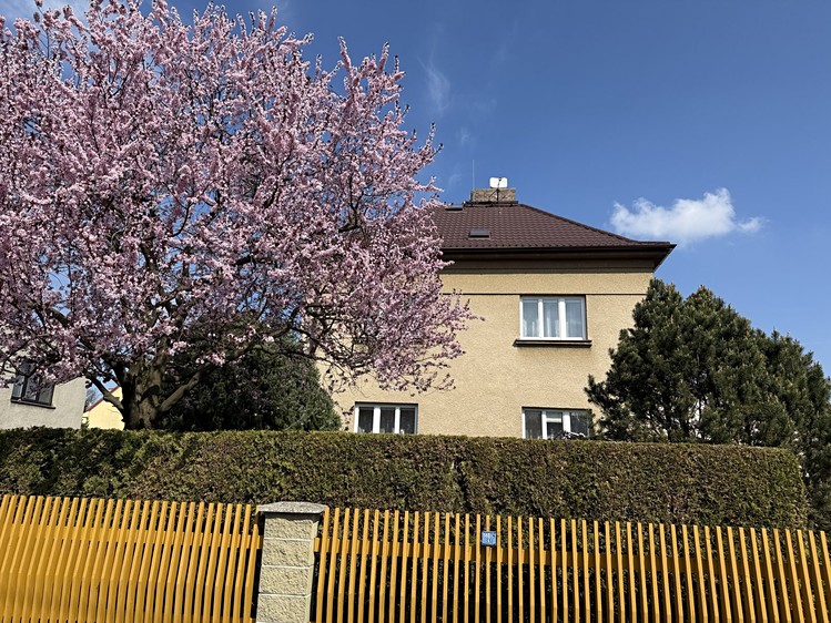 Prodej rodinného domu 429 m², pozemek 365 m² - foto 2
