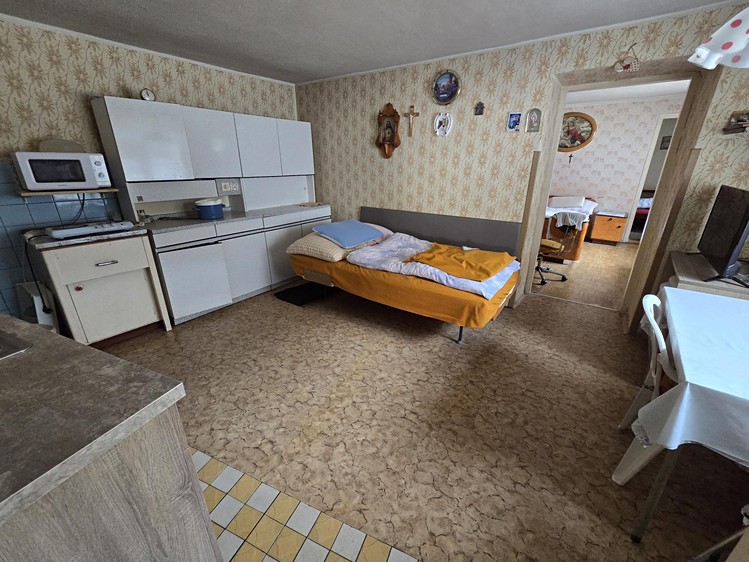 Prodej rodinného domu 500 m², pozemek 800 m² - foto 4