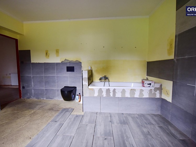 Prodej  rodinného domu 280 m², pozemek 3 046 m² - foto 8