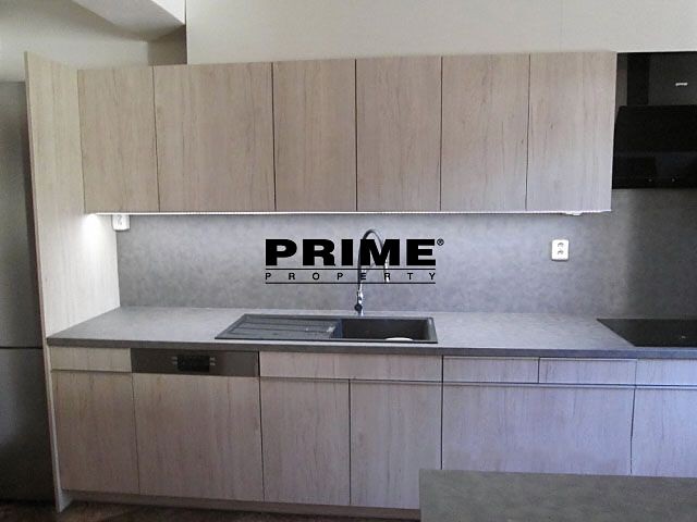 Pronájem rodinného domu 340 m², pozemek 1 197 m² - foto 5