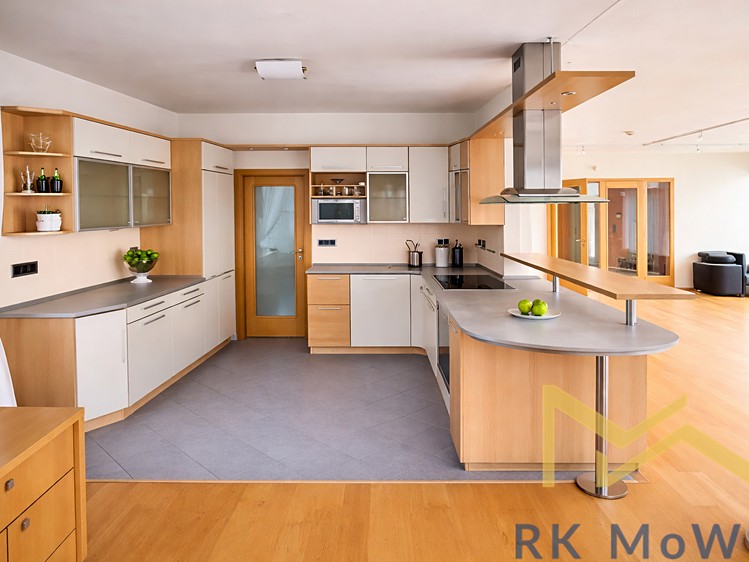 Pronájem  rodinného domu 336 m², pozemek 850 m² - foto 4