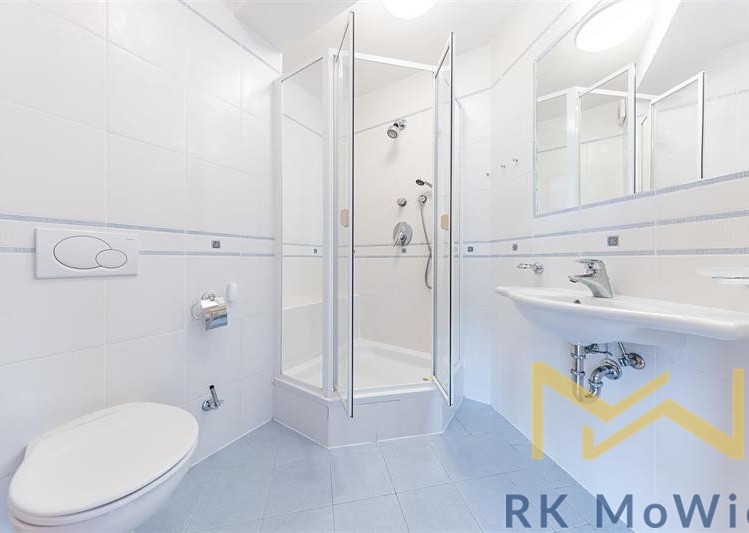 Pronájem vily 262 m², pozemek 491 m² - foto 8