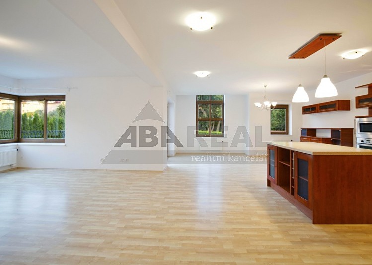 Pronájem rodinného domu 410 m², pozemek 1 036 m² - foto 6