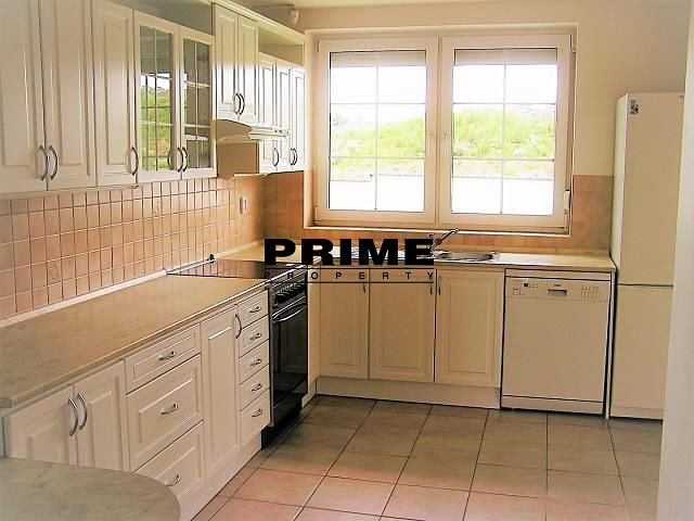 Pronájem rodinného domu 400 m², pozemek 997 m² - foto 3
