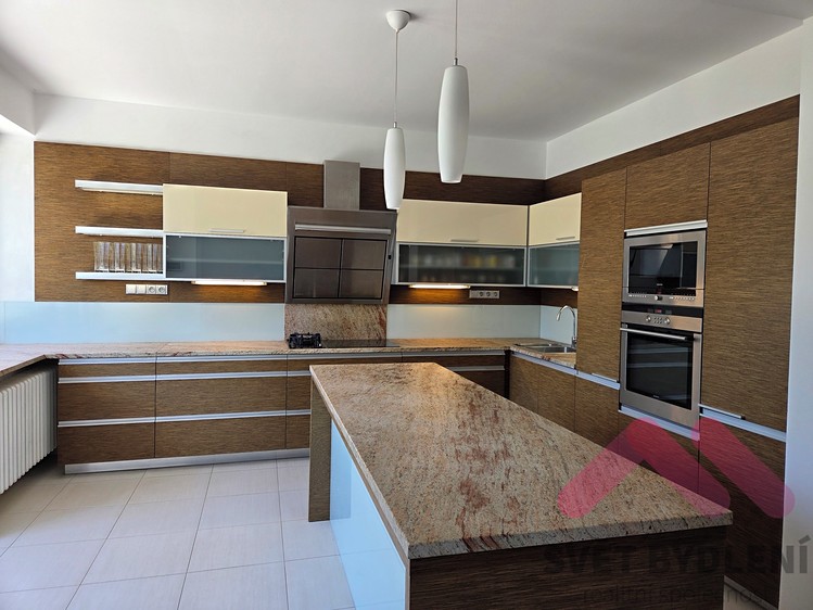 Pronájem rodinného domu 360 m², pozemek 700 m² - foto 4