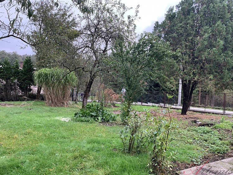 Pronájem rodinného domu 200 m², pozemek 1 842 m² - foto 4