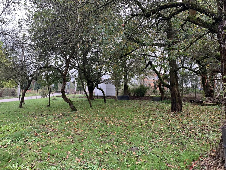 Pronájem rodinného domu 200 m², pozemek 1 842 m² - foto 3