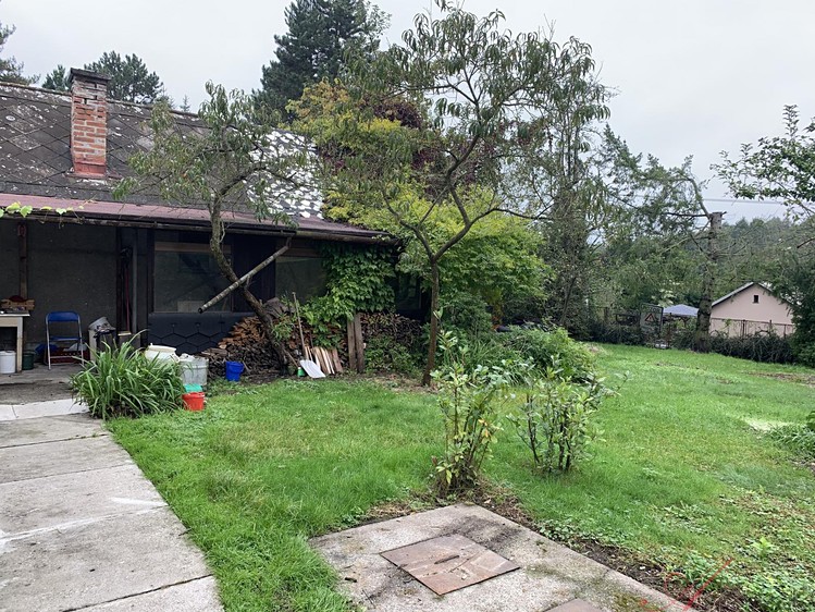 Pronájem rodinného domu 200 m², pozemek 1 842 m² - foto 5