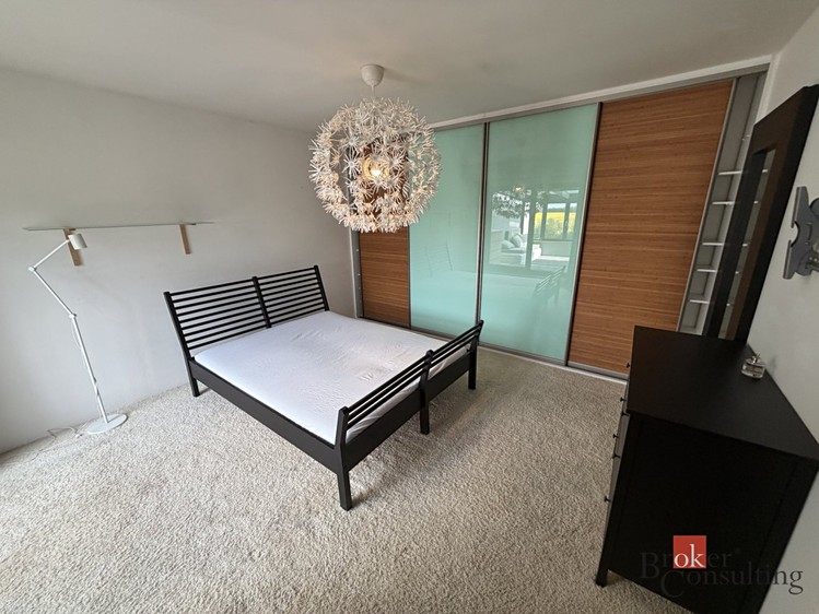 Pronájem rodinného domu 160 m², pozemek 219 m² - foto 8