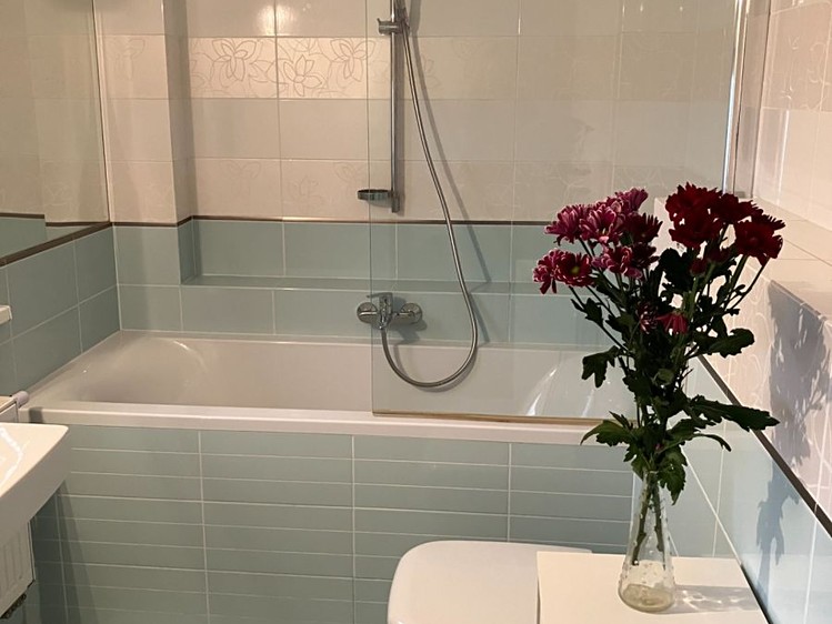 Pronájem rodinného domu 286 m², pozemek 447 m² - foto 4