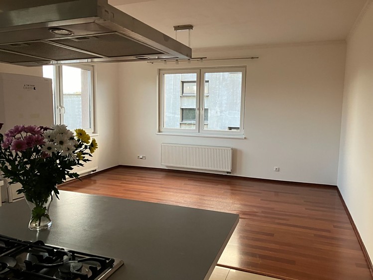 Pronájem rodinného domu 286 m², pozemek 447 m² - foto 2