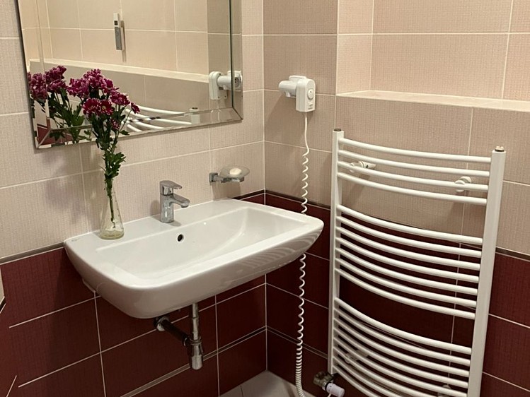 Pronájem rodinného domu 286 m², pozemek 447 m² - foto 5