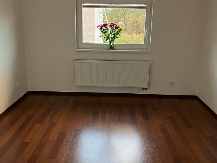 Pronájem rodinného domu 286 m², pozemek 447 m² - foto 7