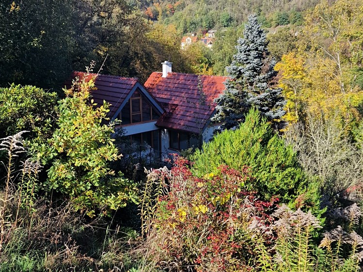 Pronájem projektu na klíč 100 m², pozemek 4 700 m² - foto 1