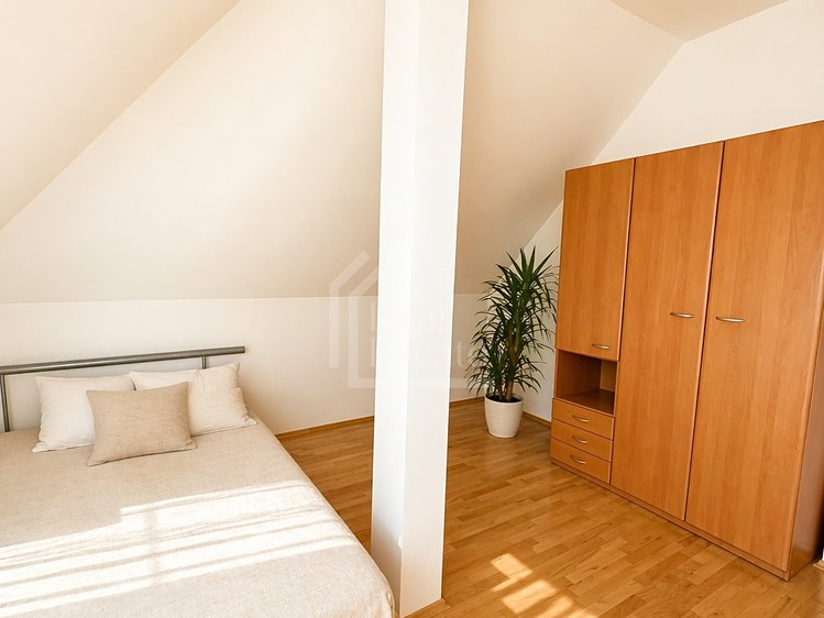 Pronájem vily 350 m², pozemek 733 m² - foto 8
