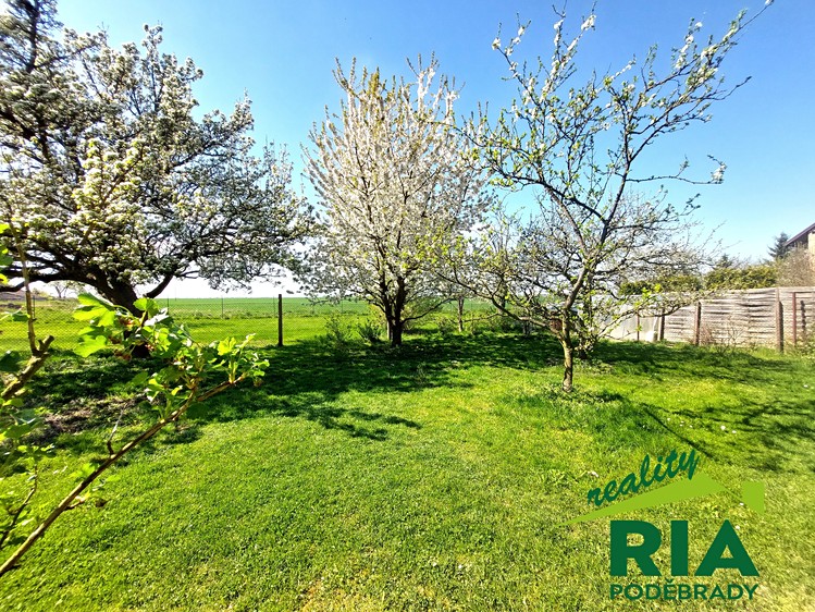 Pronájem rodinného domu 230 m², pozemek 846 m² - foto 4
