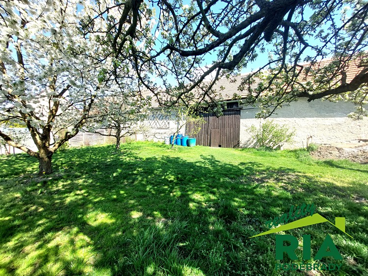 Pronájem rodinného domu 230 m², pozemek 846 m² - foto 5