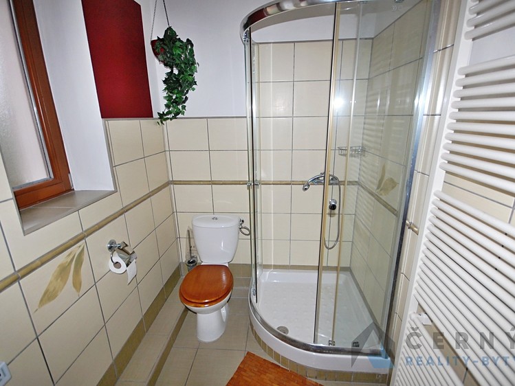 Pronájem rodinného domu 70 m², pozemek 774 m² - foto 7