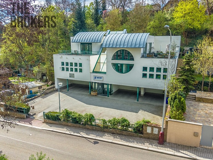 Pronájem vily 296 m², pozemek 870 m² - foto 1