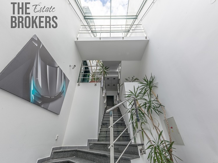 Pronájem vily 296 m², pozemek 870 m² - foto 5