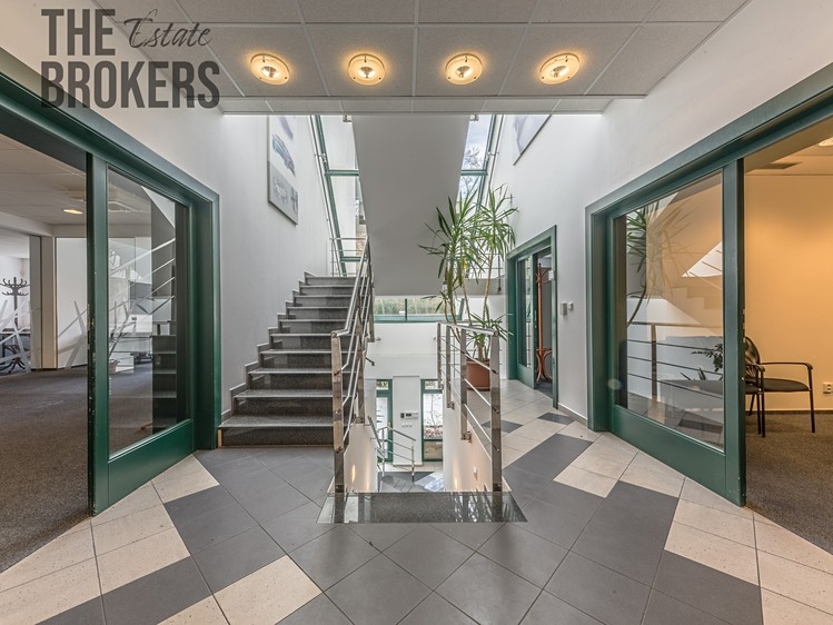 Pronájem vily 296 m², pozemek 870 m² - foto 6