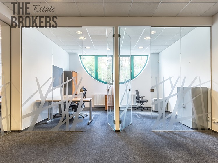 Pronájem vily 296 m², pozemek 870 m² - foto 8
