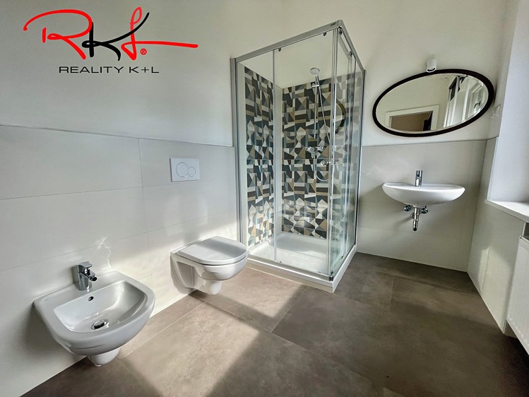 Pronájem rodinného domu 264 m², pozemek 483 m² - foto 4