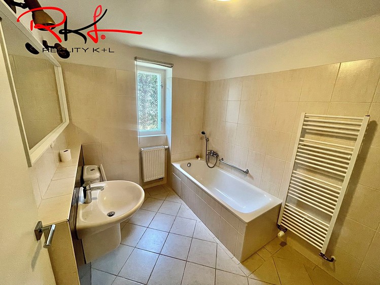 Pronájem rodinného domu 264 m², pozemek 483 m² - foto 7