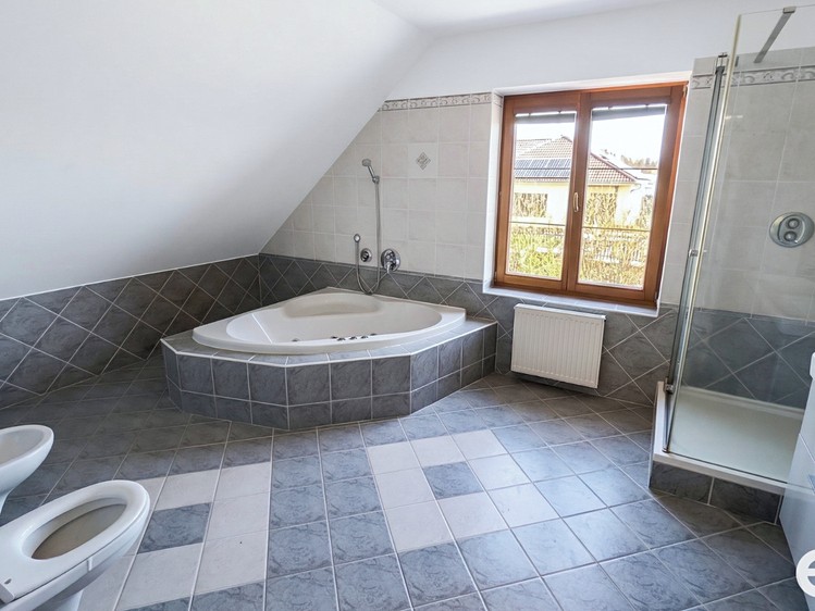 Pronájem  rodinného domu 229 m², pozemek 750 m² - foto 6