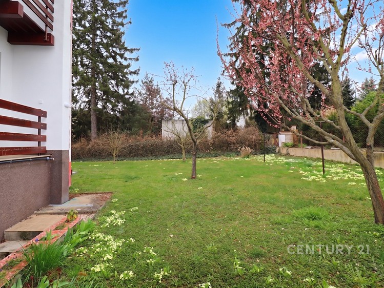 Pronájem rodinného domu 234 m², pozemek 479 m² - foto 3