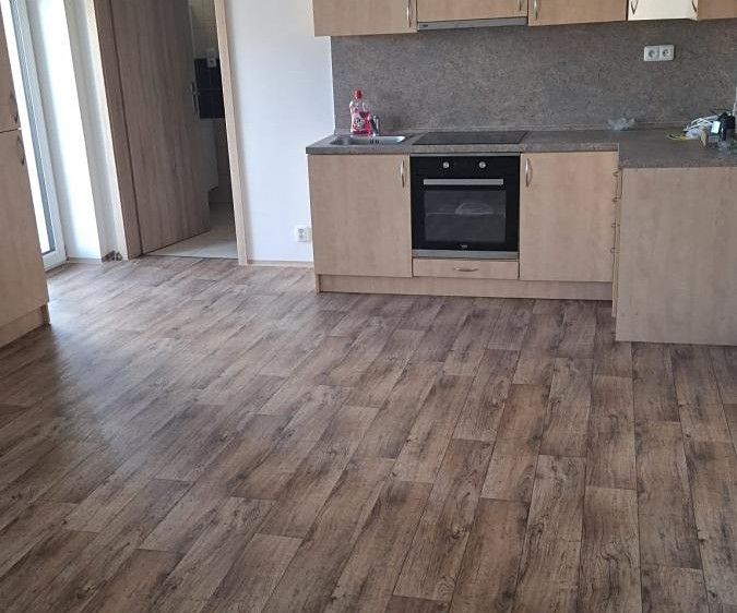 Pronájem rodinného domu 65 m², pozemek 800 m² - foto 2