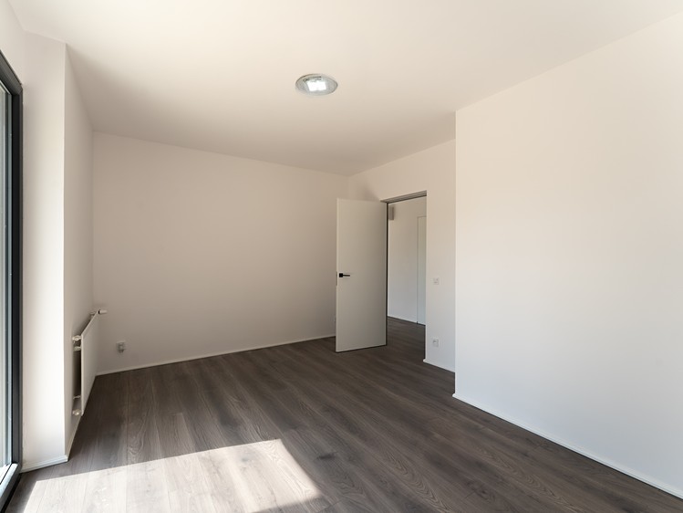 Pronájem rodinného domu 240 m², pozemek 1 350 m² - foto 5